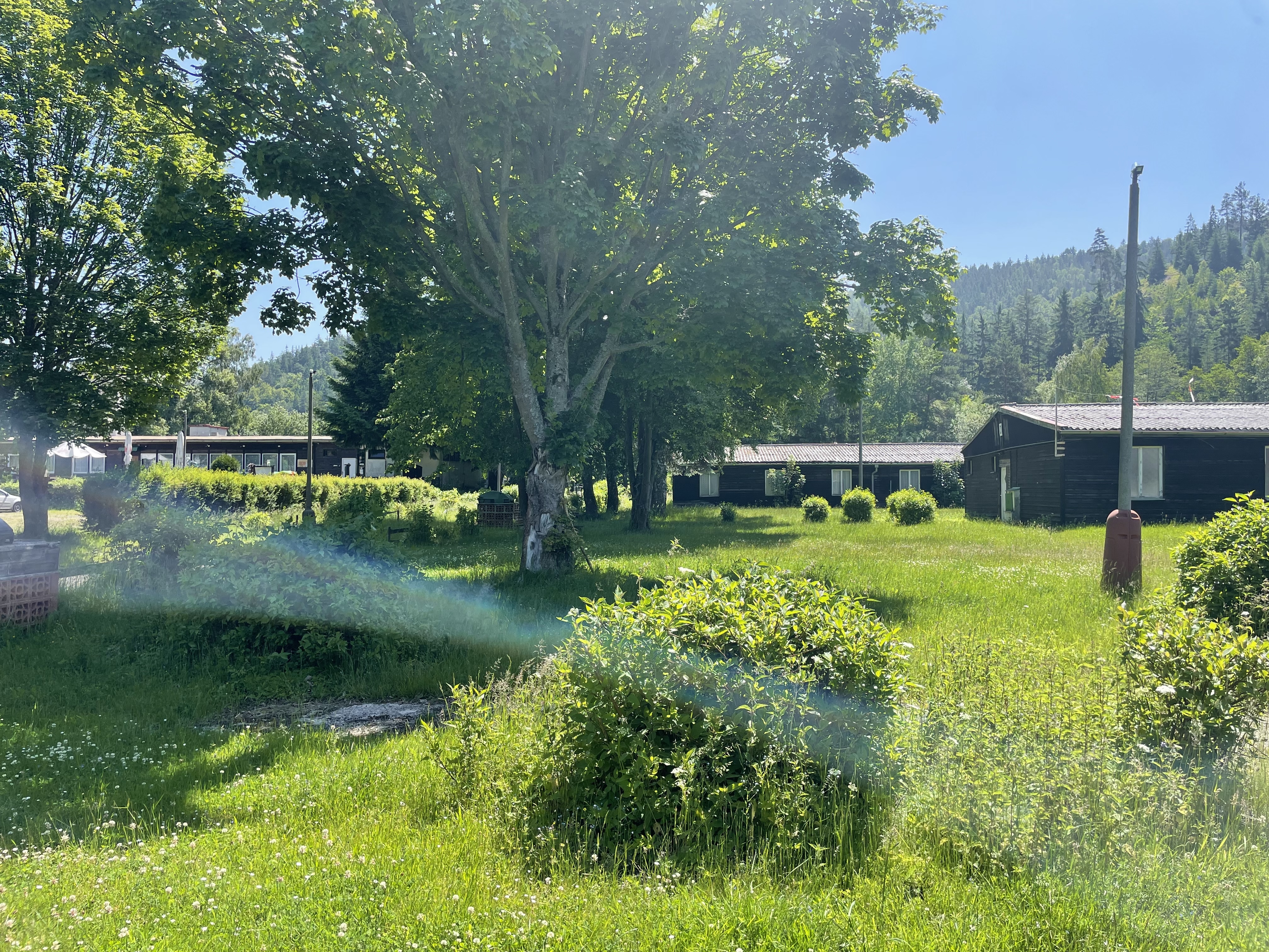 Digital Detox: Proč víkend bez technologií v glampingu změní váš život