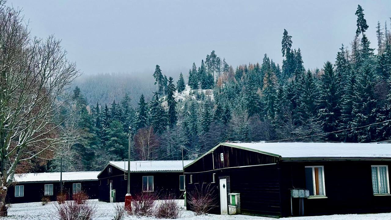 Kemp Carlsbad - background 1